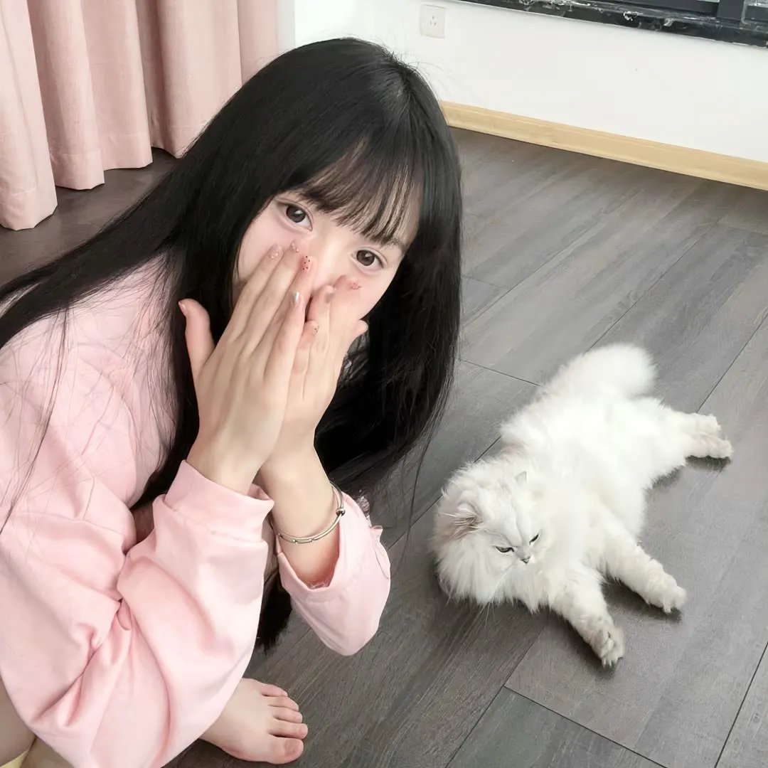 风骚律师第一季